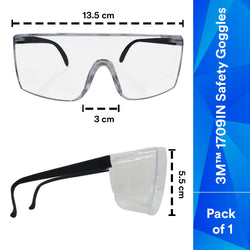 3M Polycarbonate 1709IN Safety Goggles
