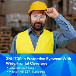 3M Polycarbonate 1709IN Safety Goggles